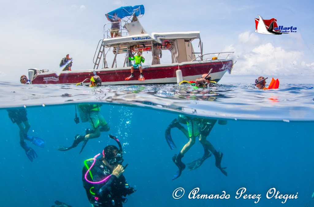 Vallarta Undersea