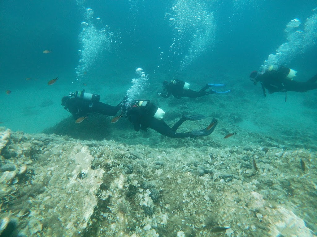 Budva Diving Center