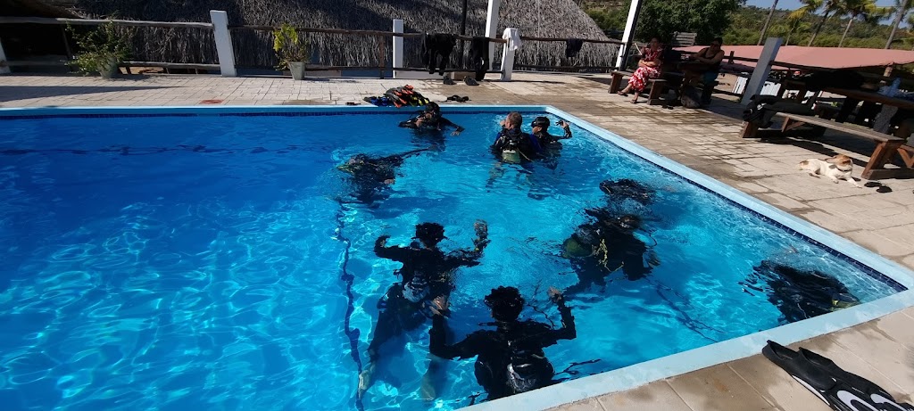 Aquaholics Barra Scuba And Activities