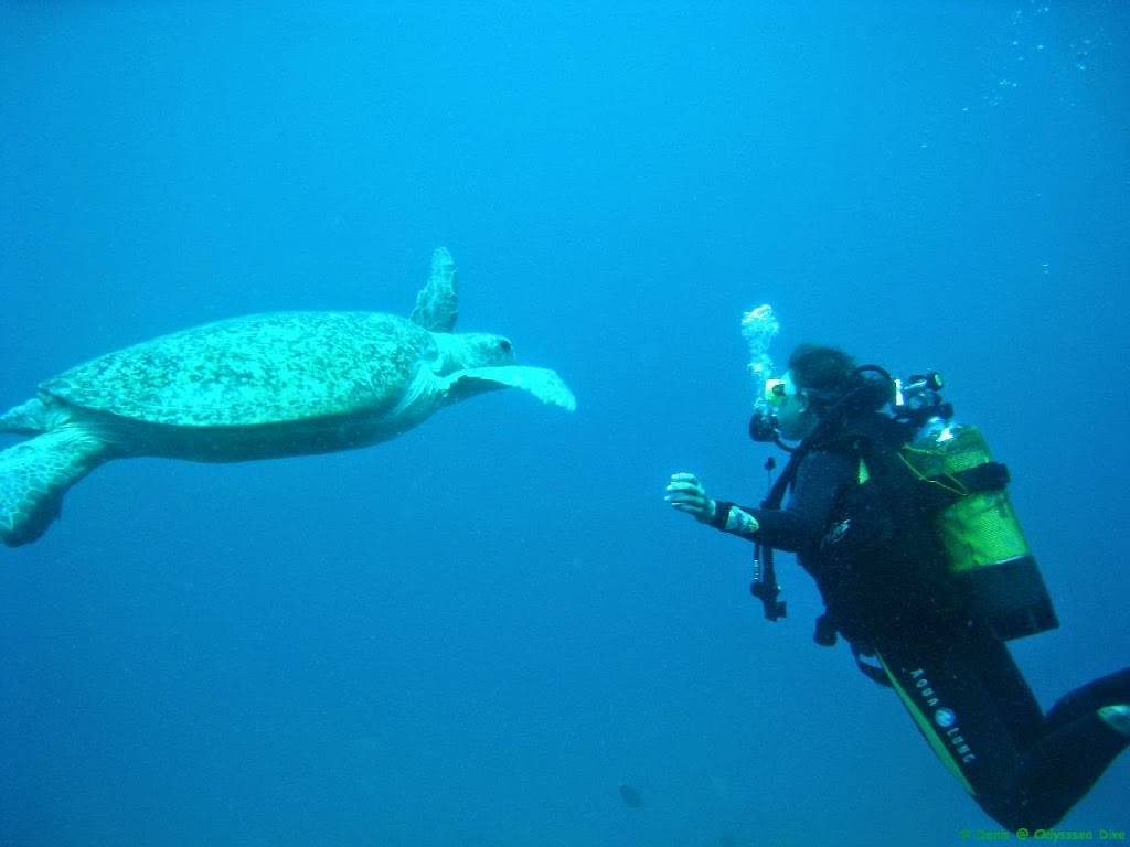Back To Basics Adventures Scuba Diving