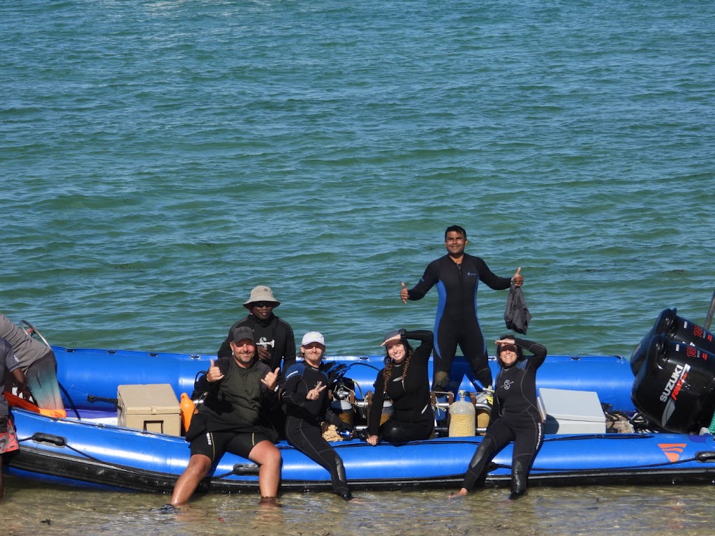 The Bulldog Divers