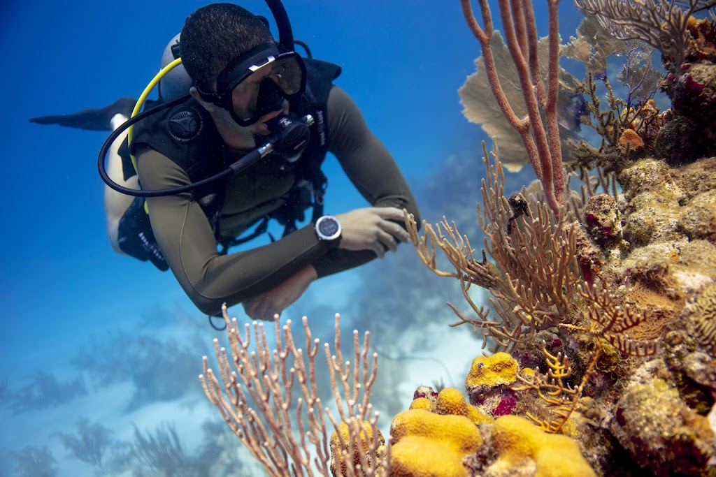 Blenddiving