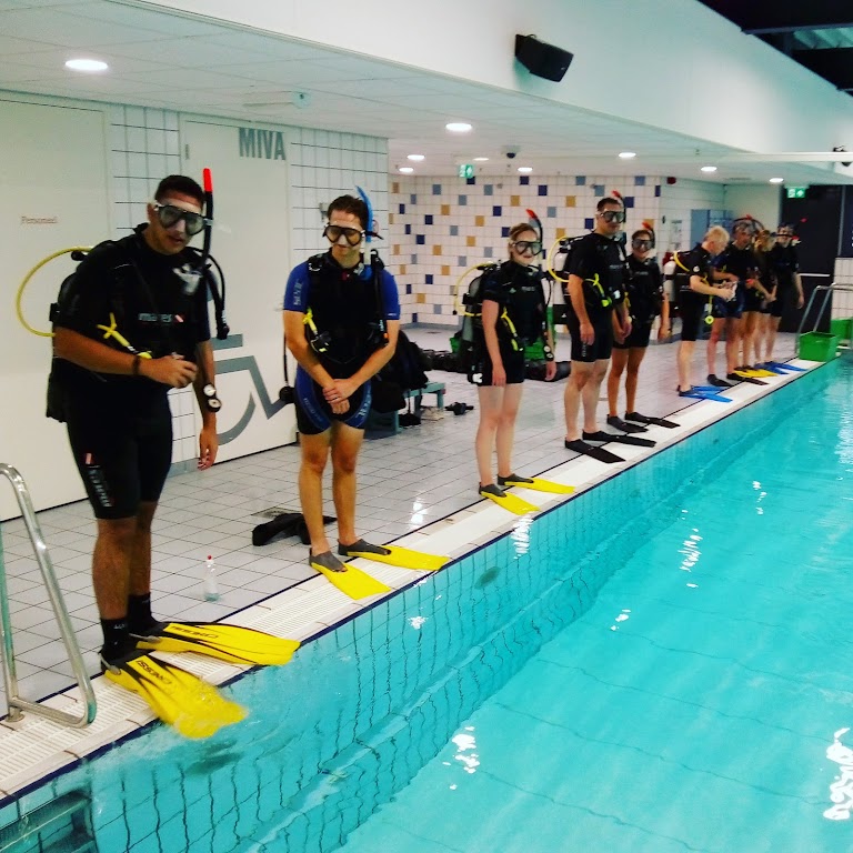 Diving School "Divection Dive Courses"