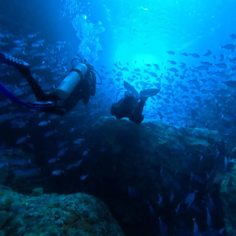 Epic Scuba And Surf