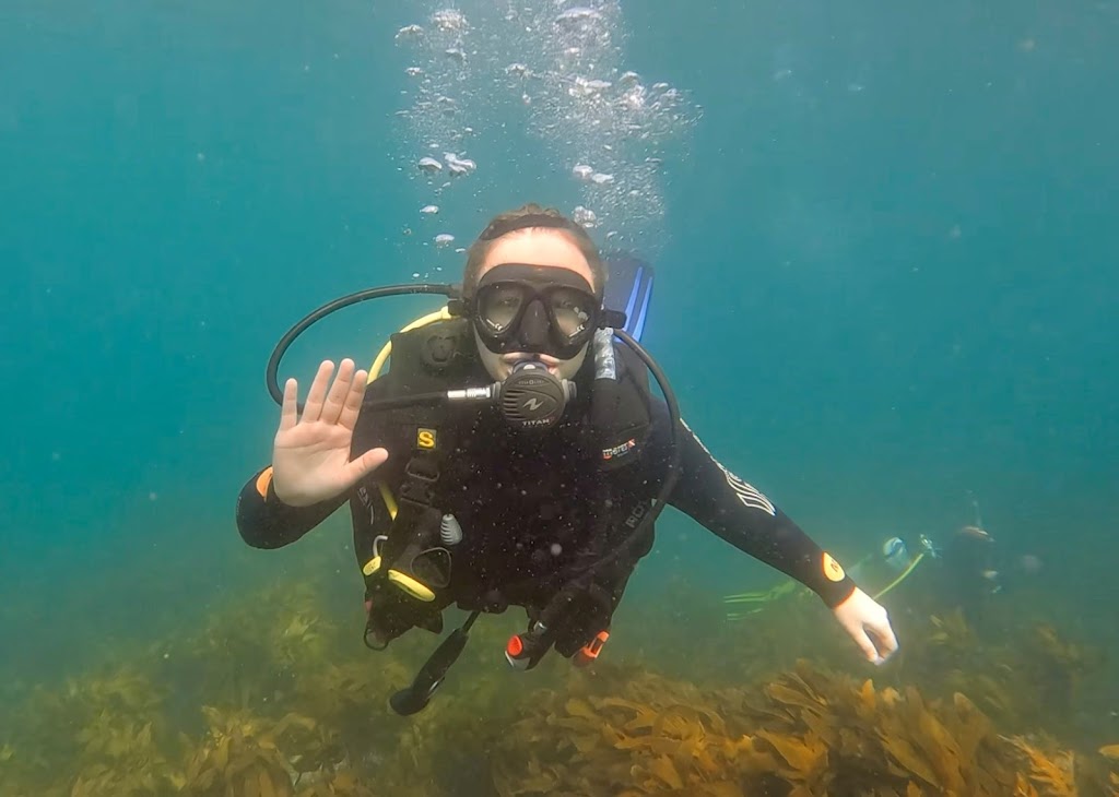 New Zealand Diving