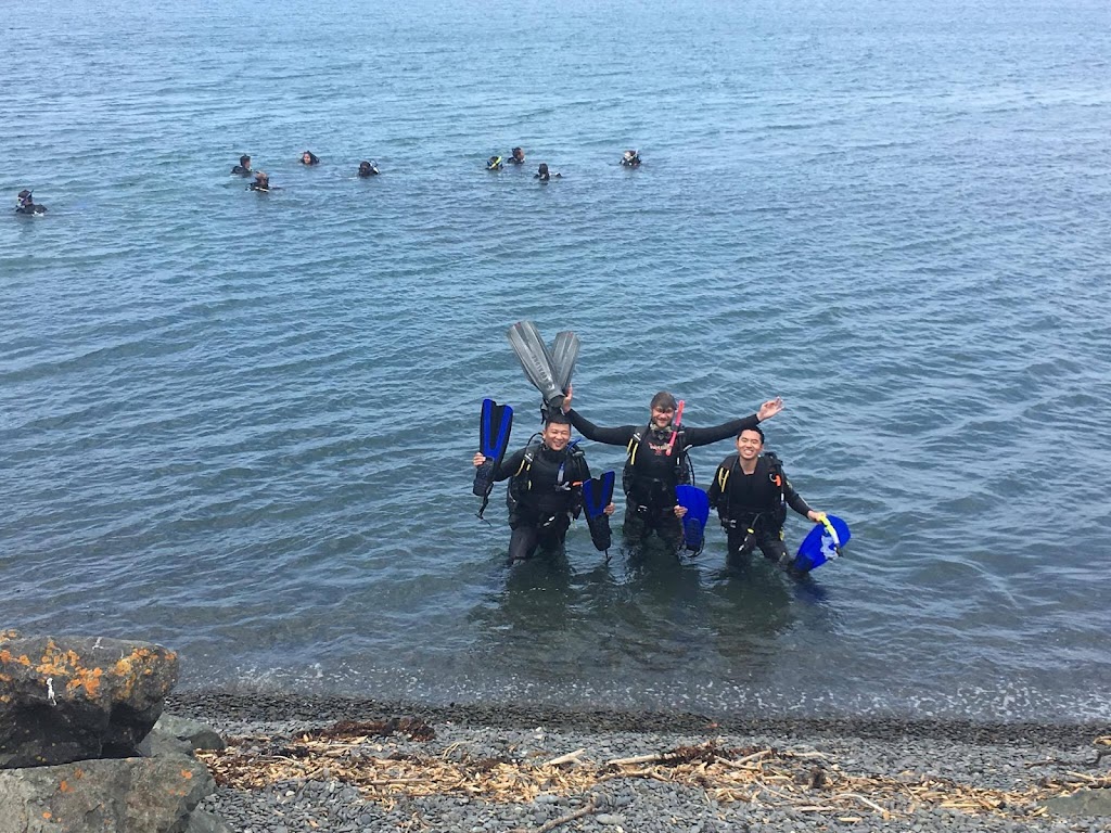 Performance Diver