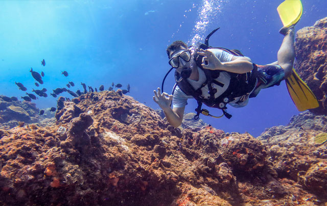 Las Palmeras Dive Center, Little Corn Island