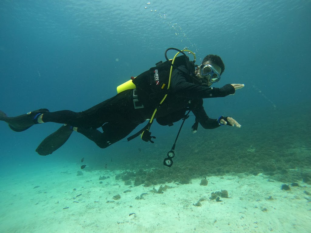 Adventure Time Diving Center