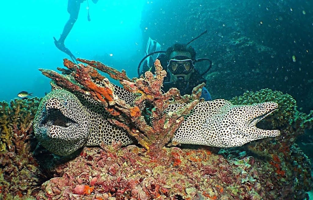 Al Mahara Diving Center