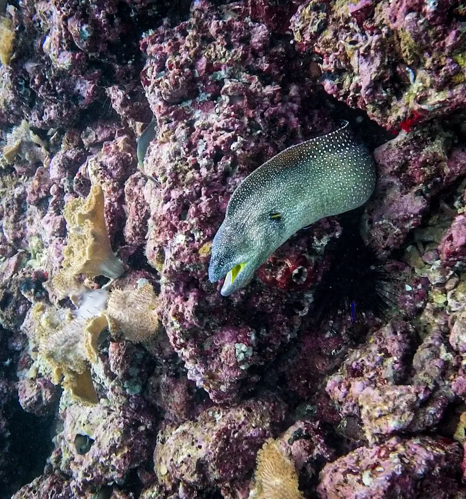 Dive Centre At Jumeirah Muscat Bay