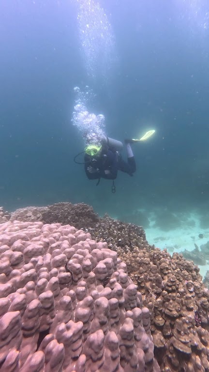 Omanta Scuba Diving Academy