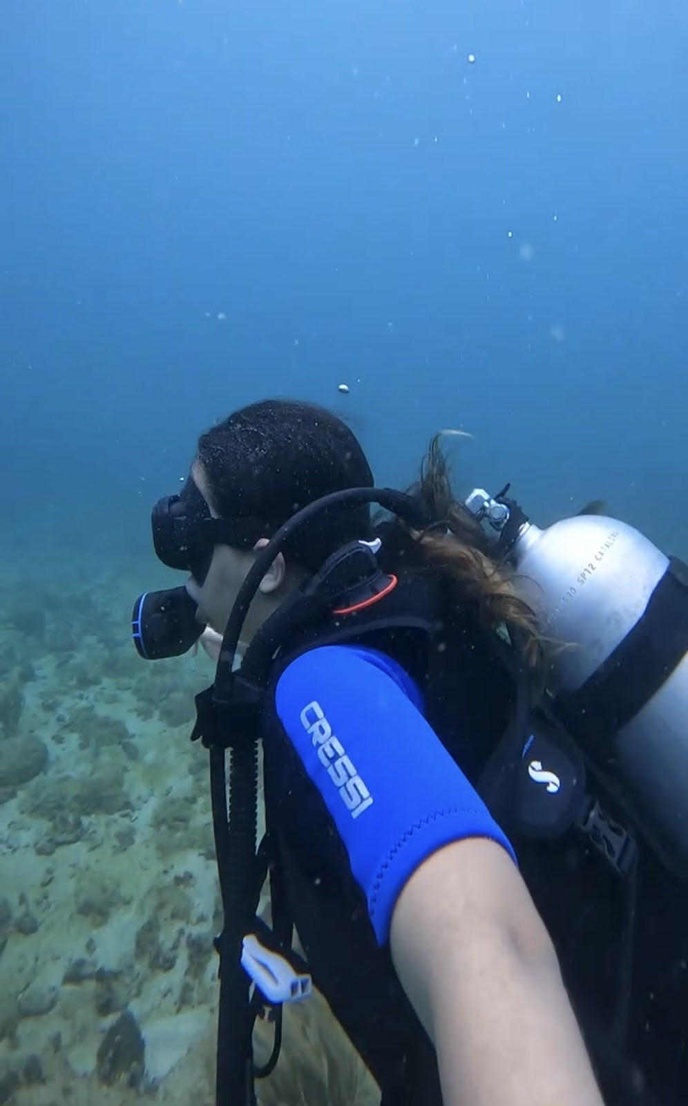 Dive Center Portobelo, S.A. logo
