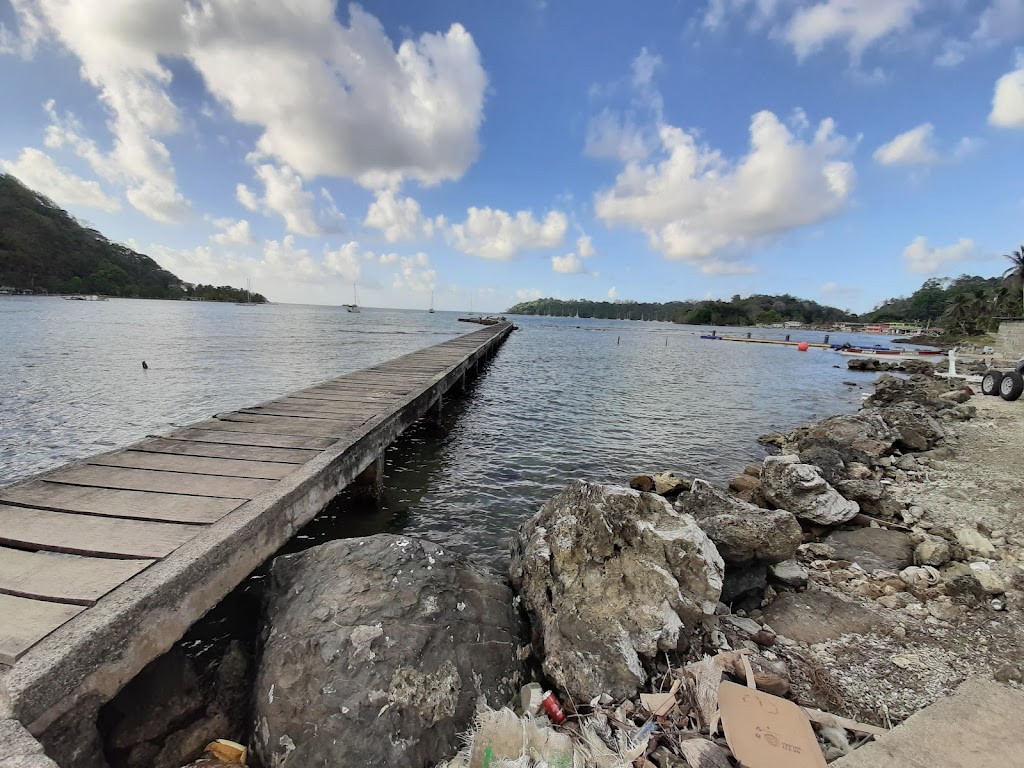 Panama Reef Divers Co.