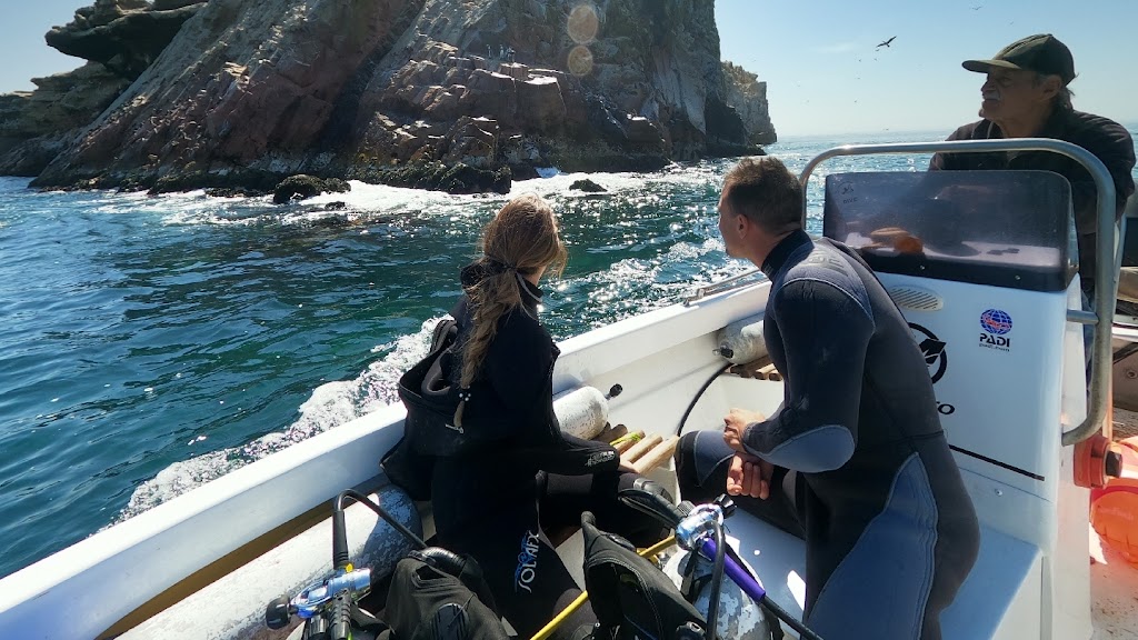 Bucea Con Paracas Diving