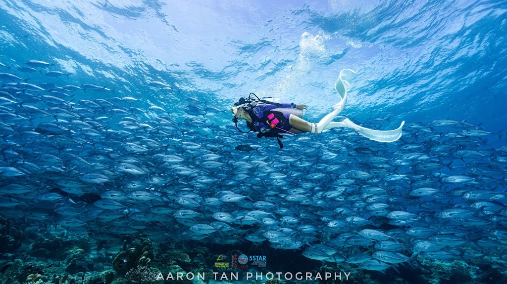 Fisheye Divers Boracay