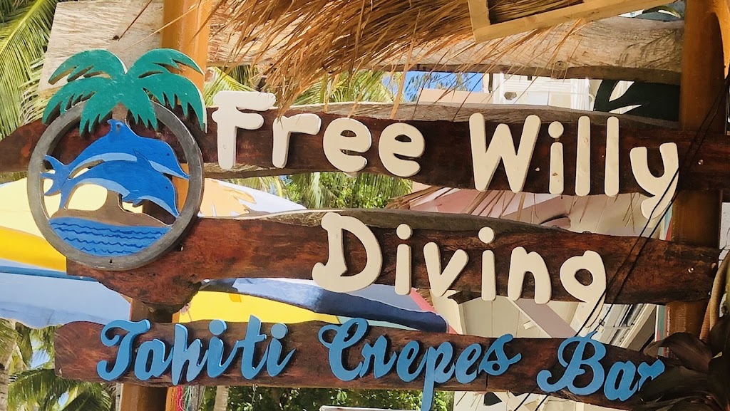 Free Willy Diving