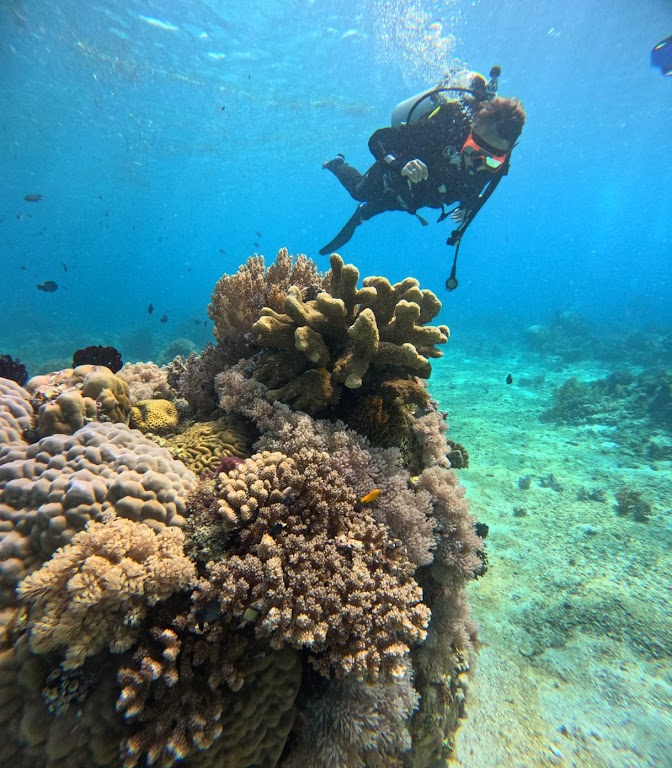 French Touch Diving