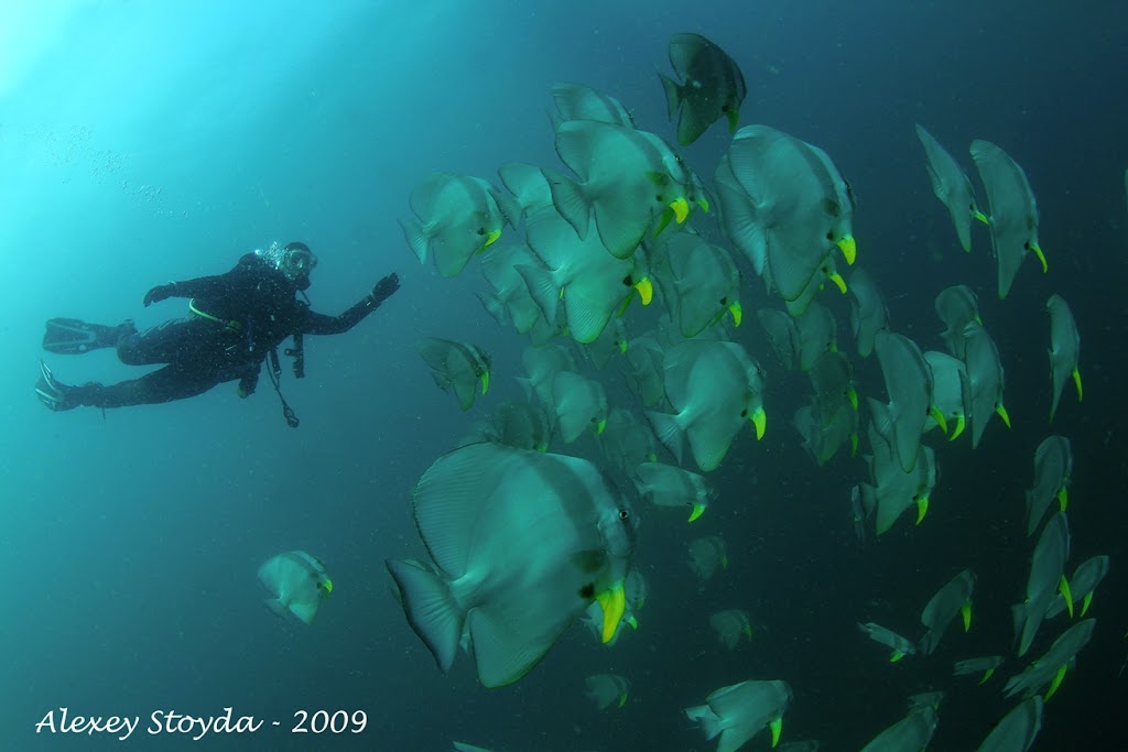 Gunter'S Dive Center
