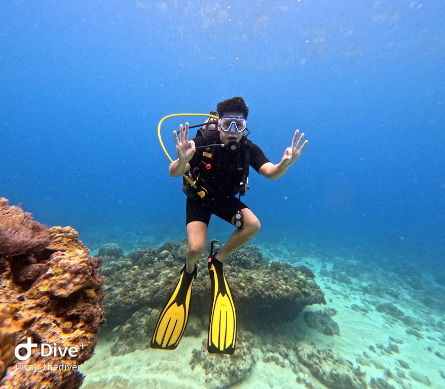 Sea Pearl Divers