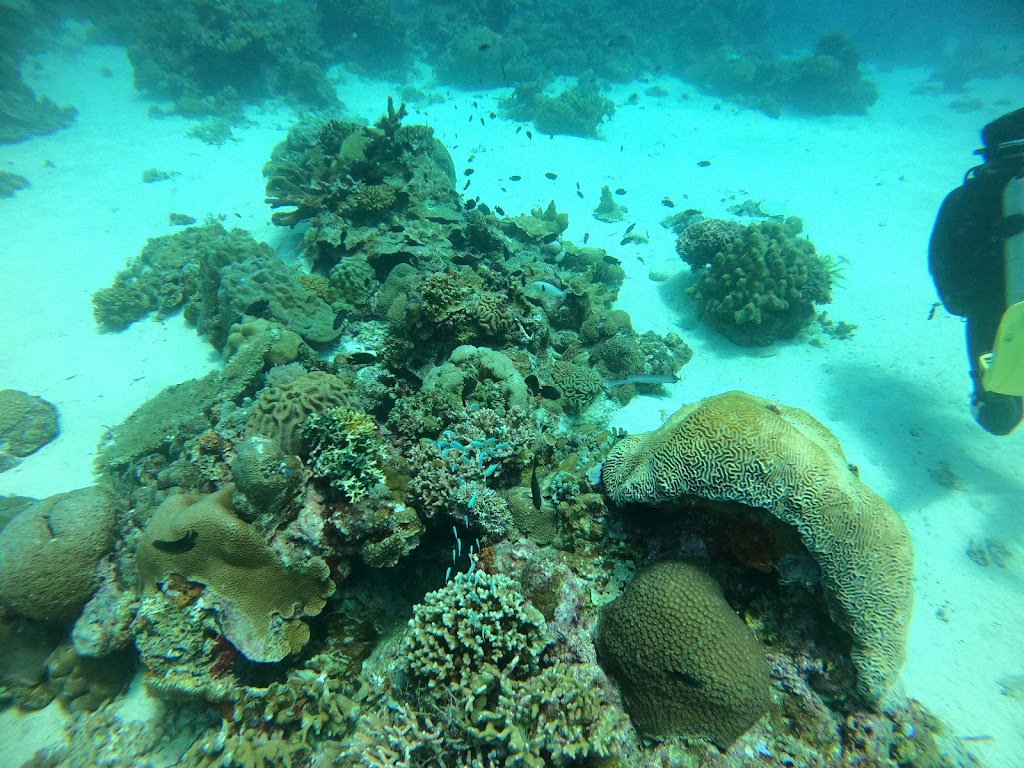 Vibrations Dive Center