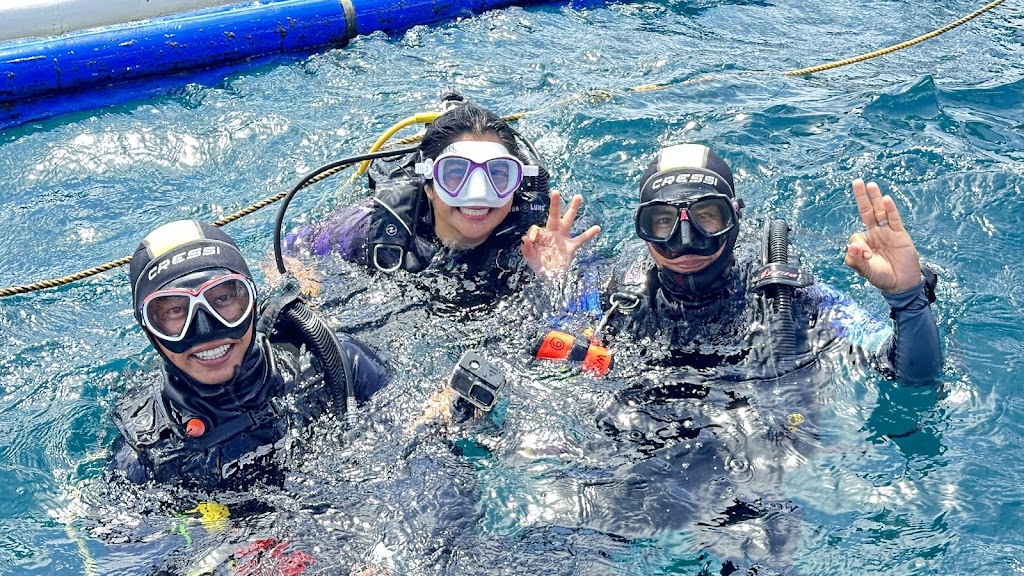 Wicked Squid Divers