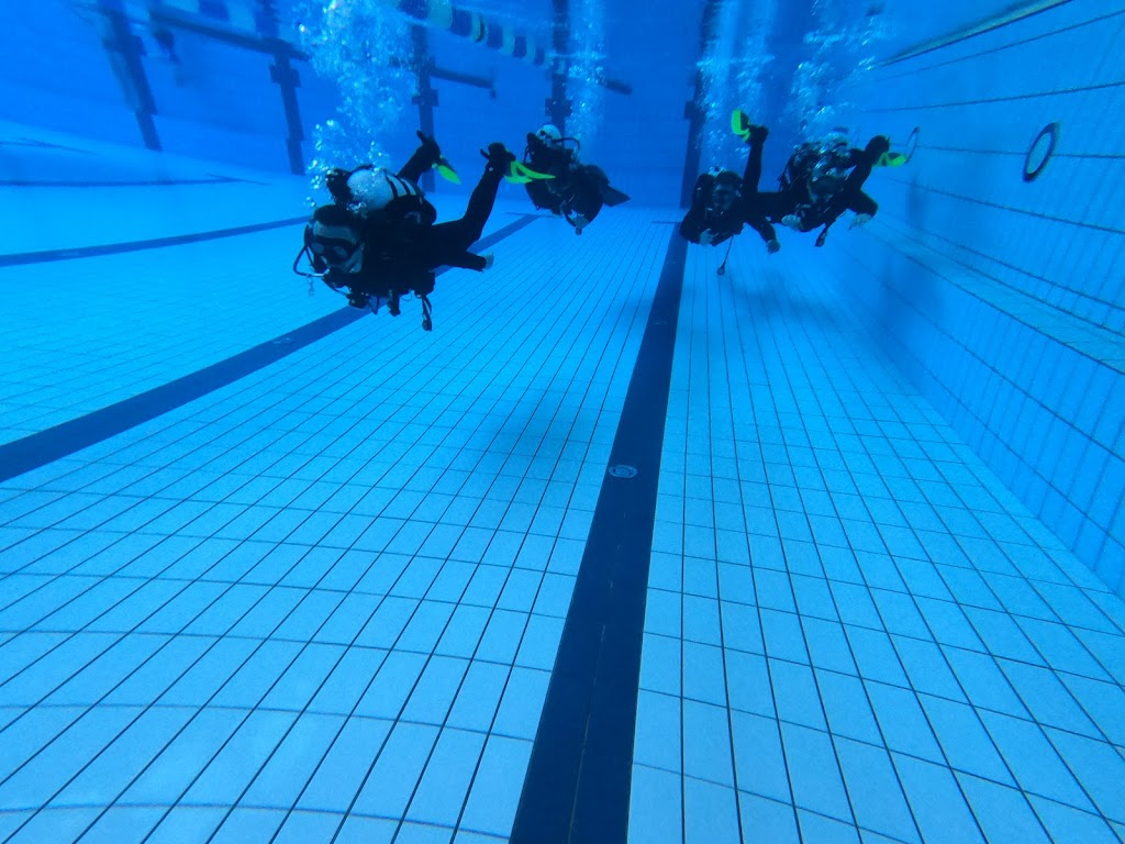 Akademia Nurkowania Animus Dive