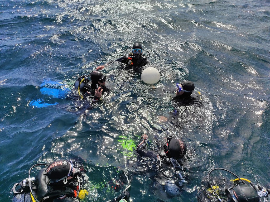 Octopus Diving Center