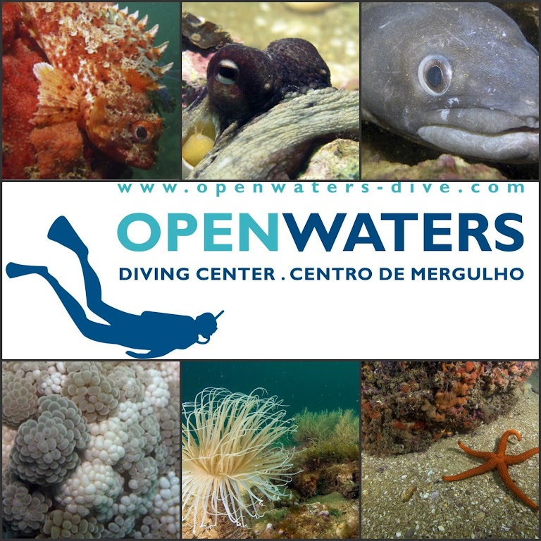 Open Waters