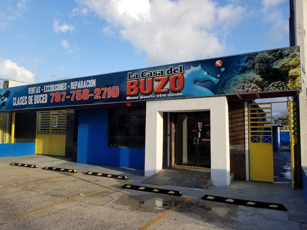 Scuba Dogs At Escambrón Marine Park