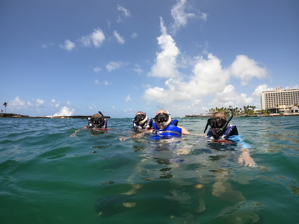 Try Snorkeling And Scuba Diving logo