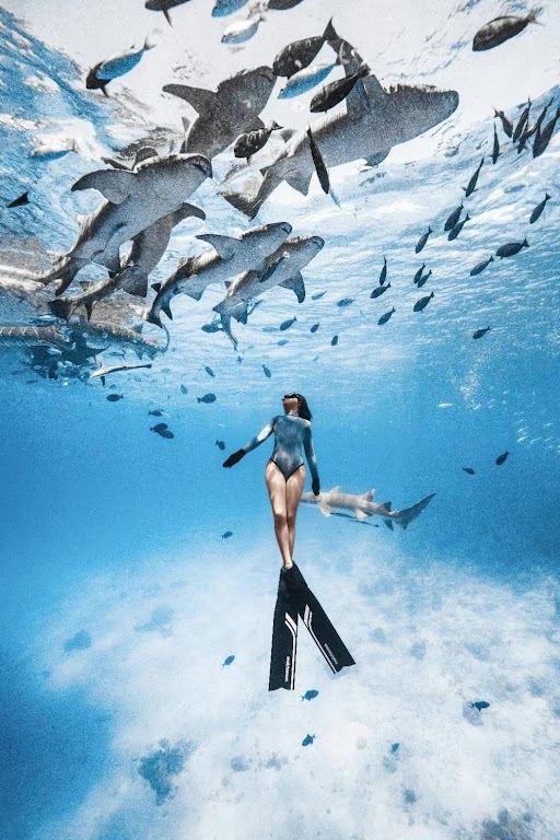Divingqatar