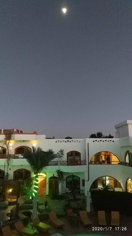 Opal Diving Club