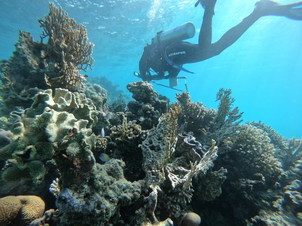 Saudi Diving Center