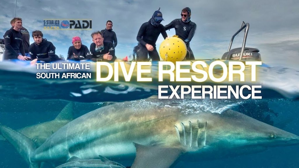 Blue Ocean Dive Resort