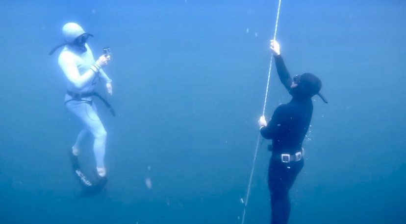 Freediving Johannesburg logo