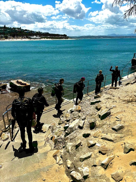 Garden Route Scuba