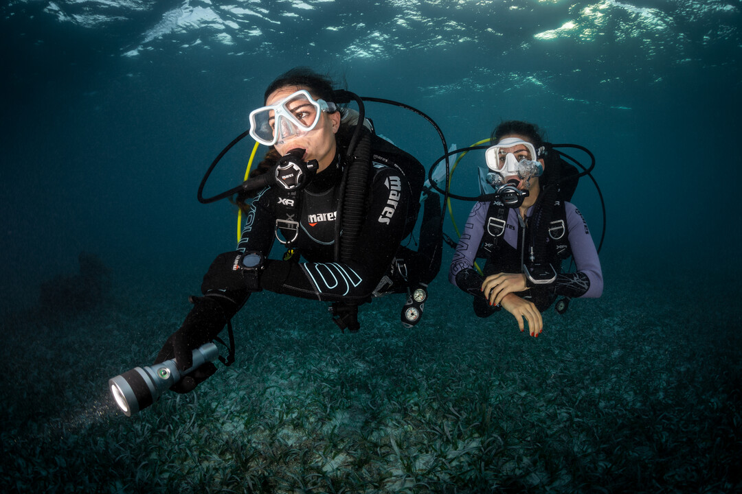 Big Blue Diving