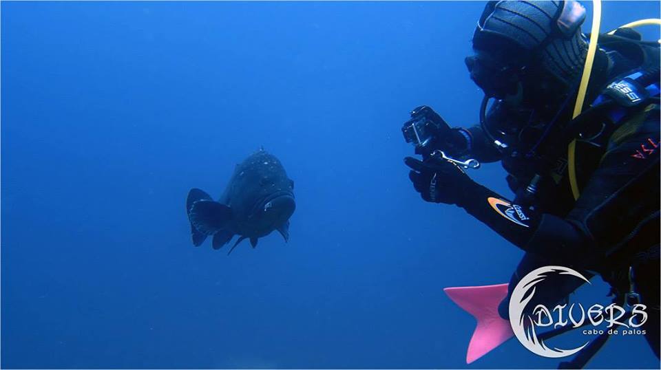 Divers Cabo De Palos