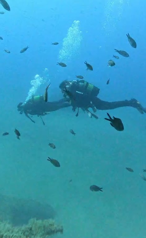 Diving Club Sea Ice