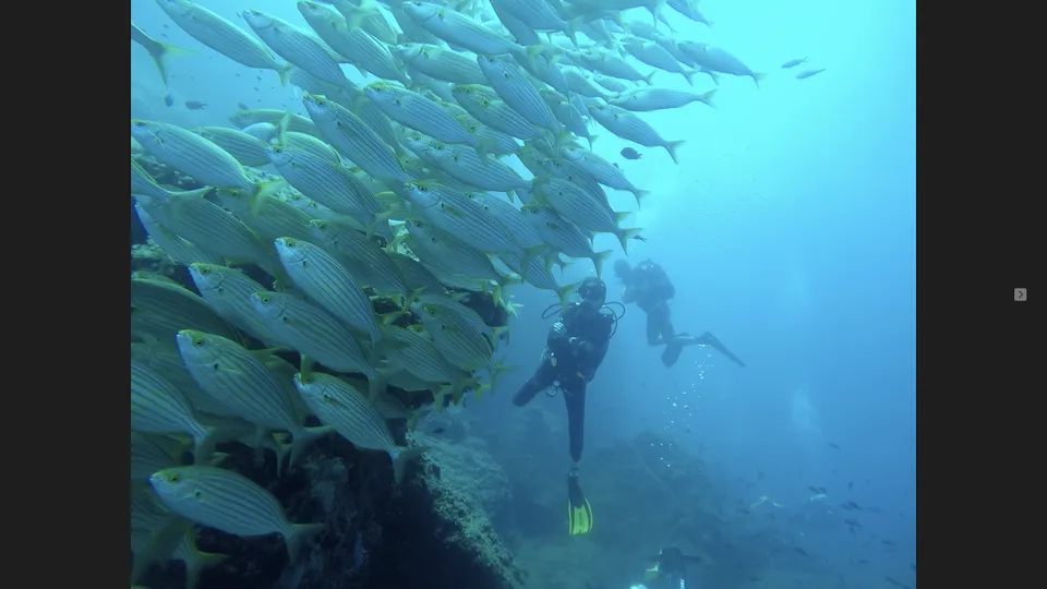 Diving Ibiza