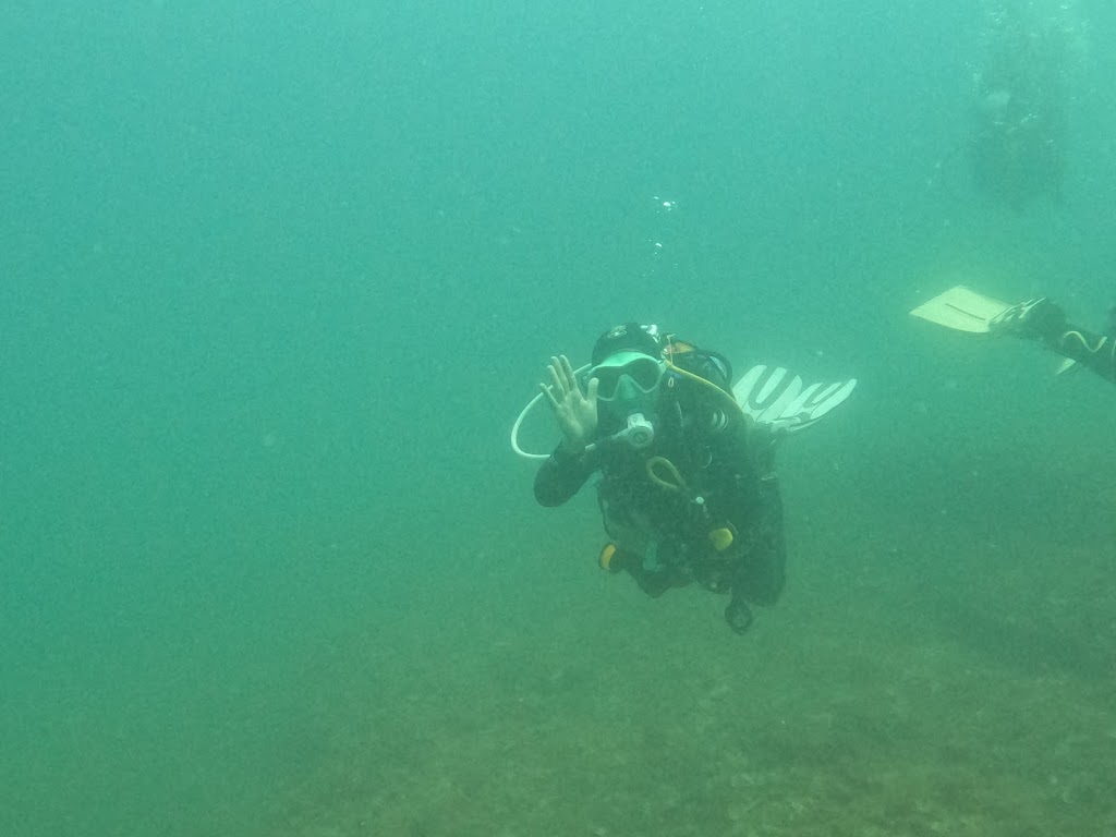 M. Rota Diving