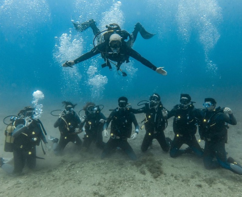 Medusadive