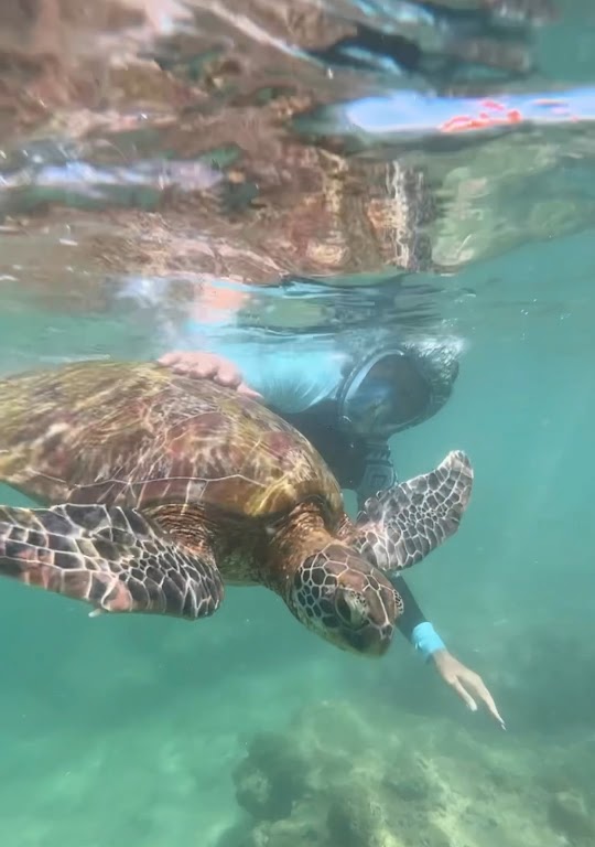 Ceylon Sea Adventures
