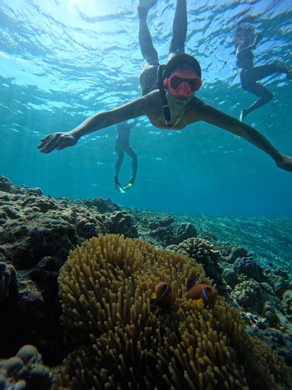 Colombo Scuba Diving