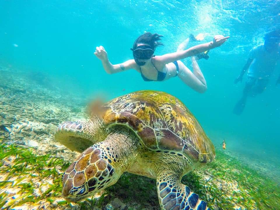 Mirissa Sea Star Fishing & Snorkeling Tours