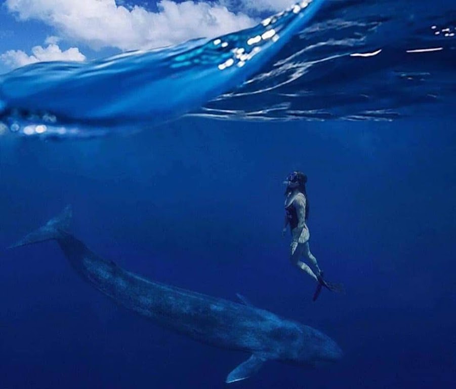 Mirissa Snorkeling Adventures