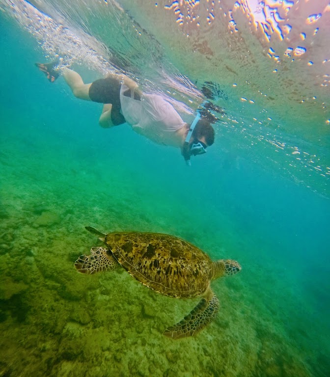 Mirissa Snorkeling With Scuba Diving