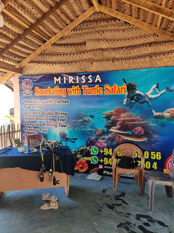 Mirissa Snorkeling With Turtle Safari