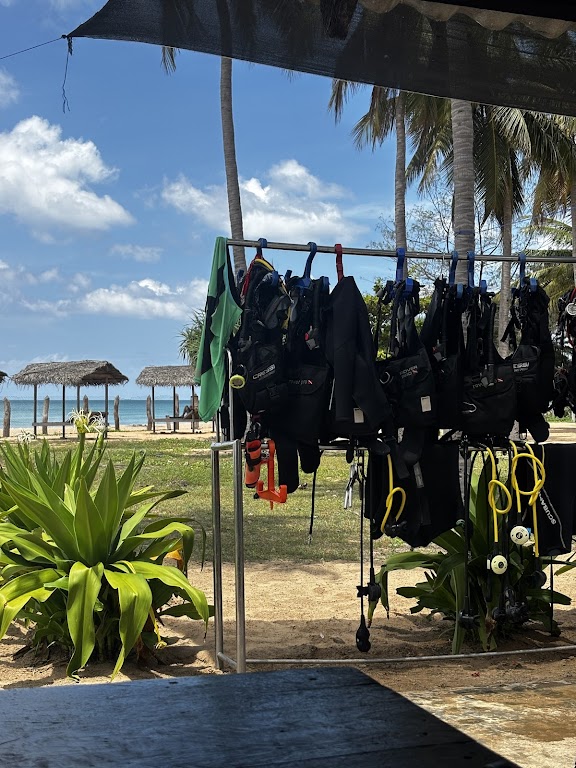 Pearl Divers Padi Dive Center Trincomalee