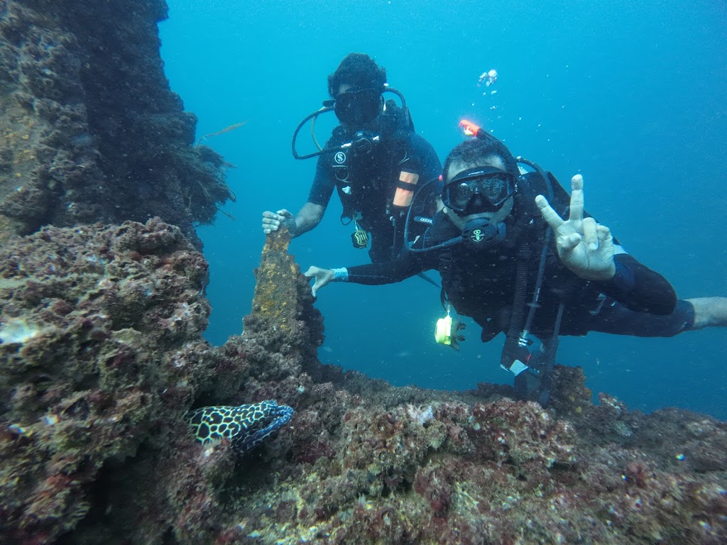 Scuba Ceylon Diving Center In Colombo